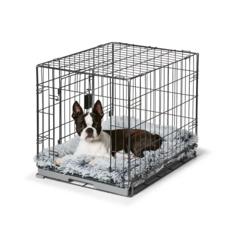 dogs crate