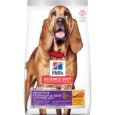 Hill’s – Science Diet – Adult Dog – Sensitive Skin & Stomach – Large Breed