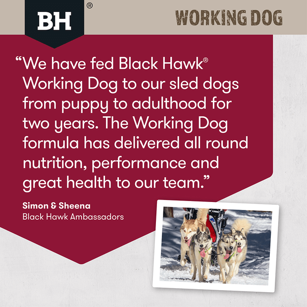 Black Hawk – Working Dog – Lamb & Beef 5