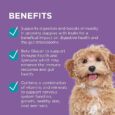 Blackmores: Paw – Digest + Protect – Chews for Puppies