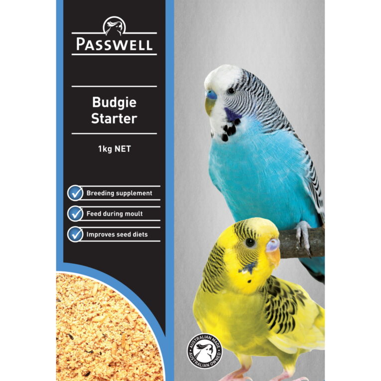 Budgie-Starter-New-Low-Res-1