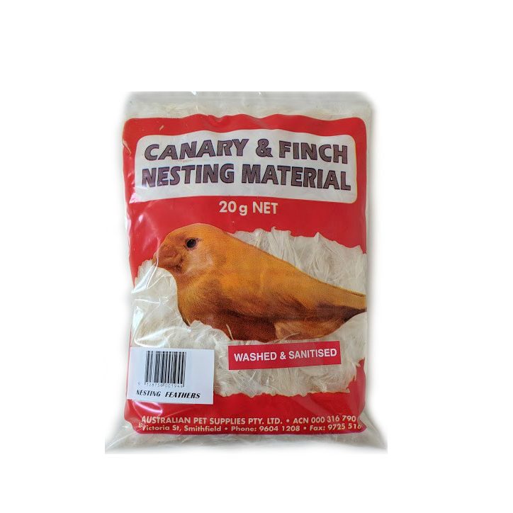 Canary-Finch-Nesting-1