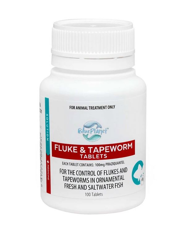 Fluke-Tapeworm