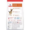 Hill’s – Science Diet – Adult Dog (6+) – Large Breed 1
