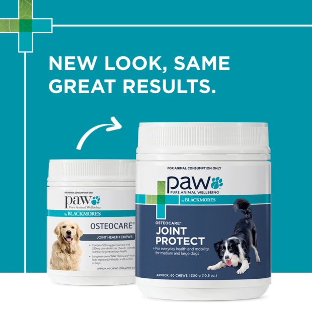 Paw – Osteocare – Joint Protect Chews 2