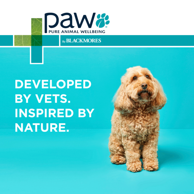 Paw – Osteocare – Joint Protect Chews 7