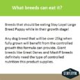 Stay Loyal – Large Breed Puppy – GRAIN FREE 3