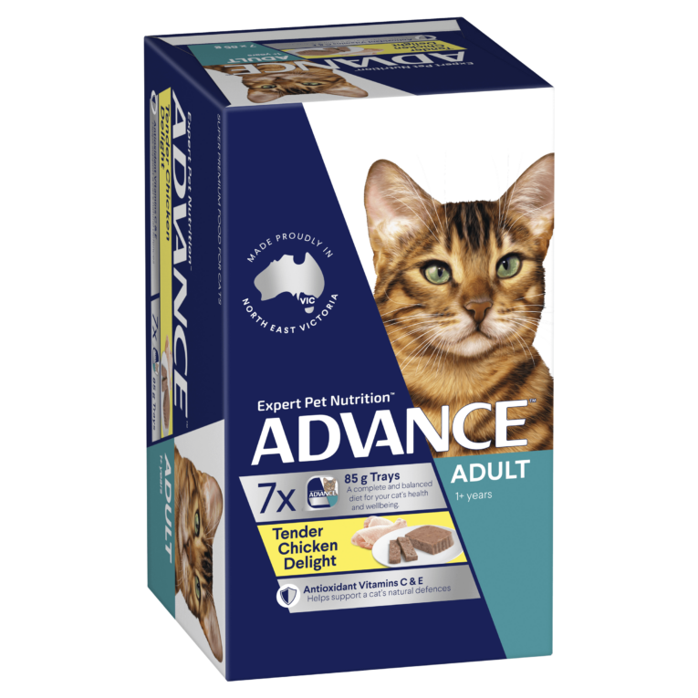 advance-adult-tender-chicken-wet-cat-food-trays___1
