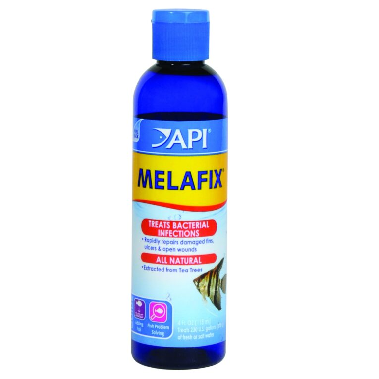 api-melafix-4-scaled