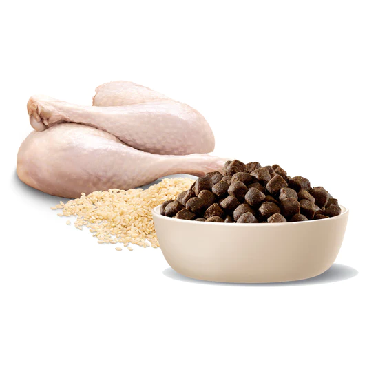 errier Adult Medium Breed Turkey- Rice