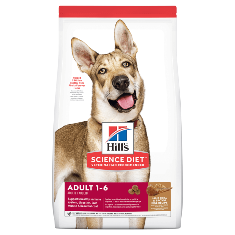 hills-science-diet-lamb-meal-and-brown-rice-dry-dog-food