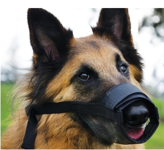 nylon-adjustable-dog-muzzleL-1-e1631079611867