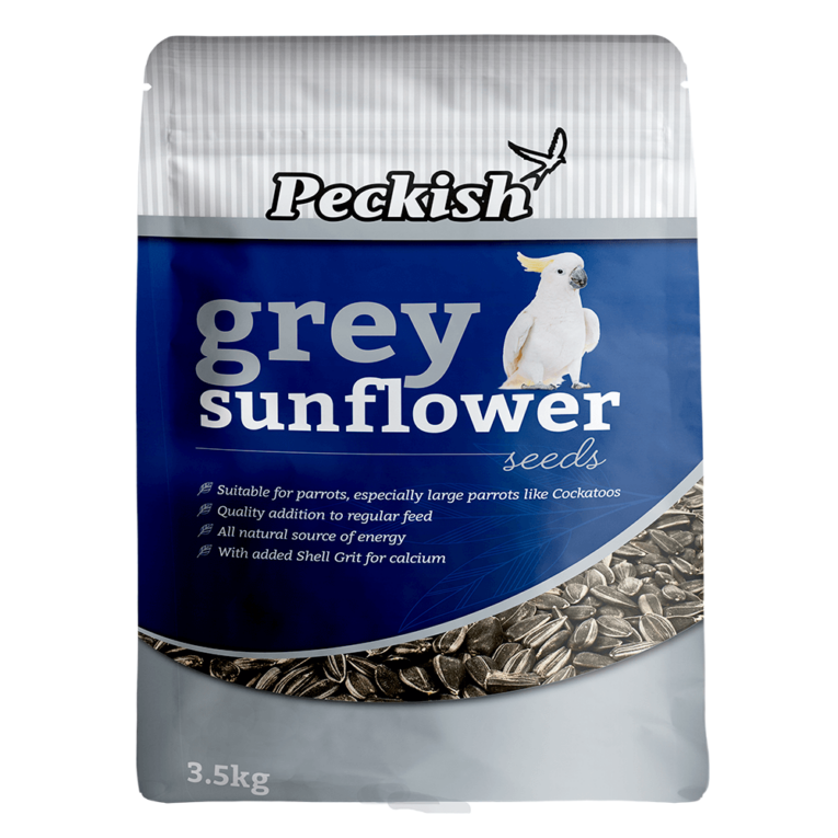 peckish-grey-sunflower