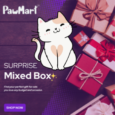 cat mixed box