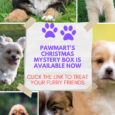 PawMart Pets Lifestage Christmas Mystery Box